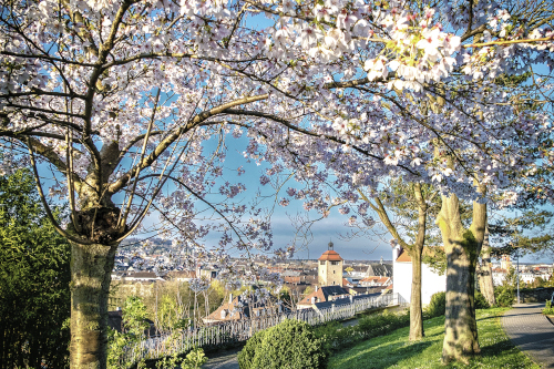 Datei:Bruchsal 15.1.2026.jpg