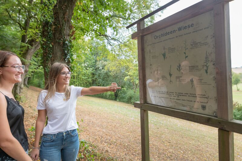 Datei:Waldlehrpfad und jüdischer Friedhof Waibstadt 2.jpg