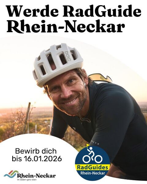 Datei:Stimmen aus dem RhN-Dreieck 10.12.2025 A.jpg