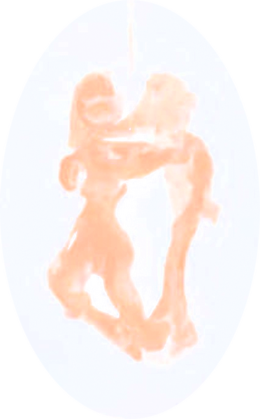 Datei:Wildes Paar transparent.png