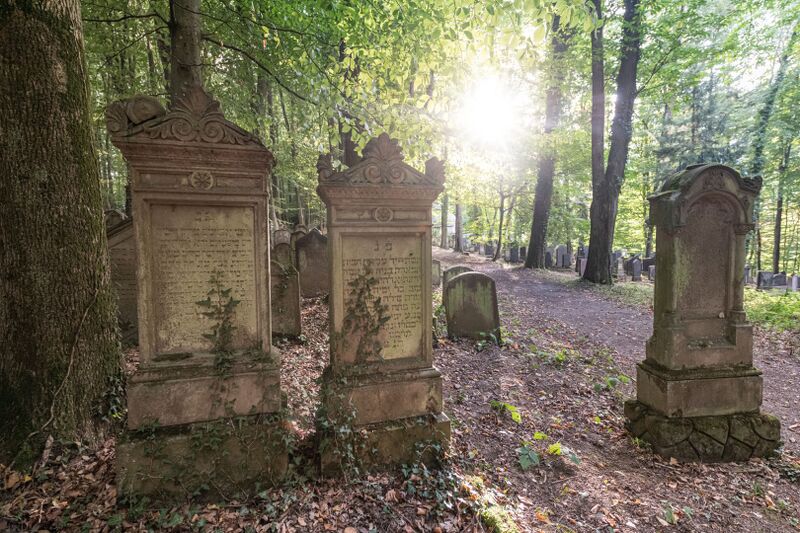 Datei:Waldlehrpfad und jüdischer Friedhof Waibstadt 1.jpg
