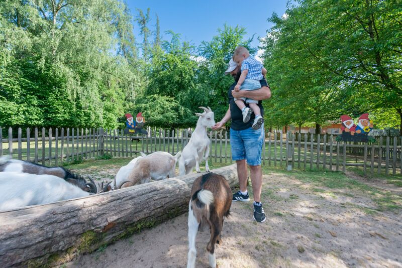 Datei:WildparkStreiche Schwarzach 0190 (C)Barth 2022 (Groß).jpg